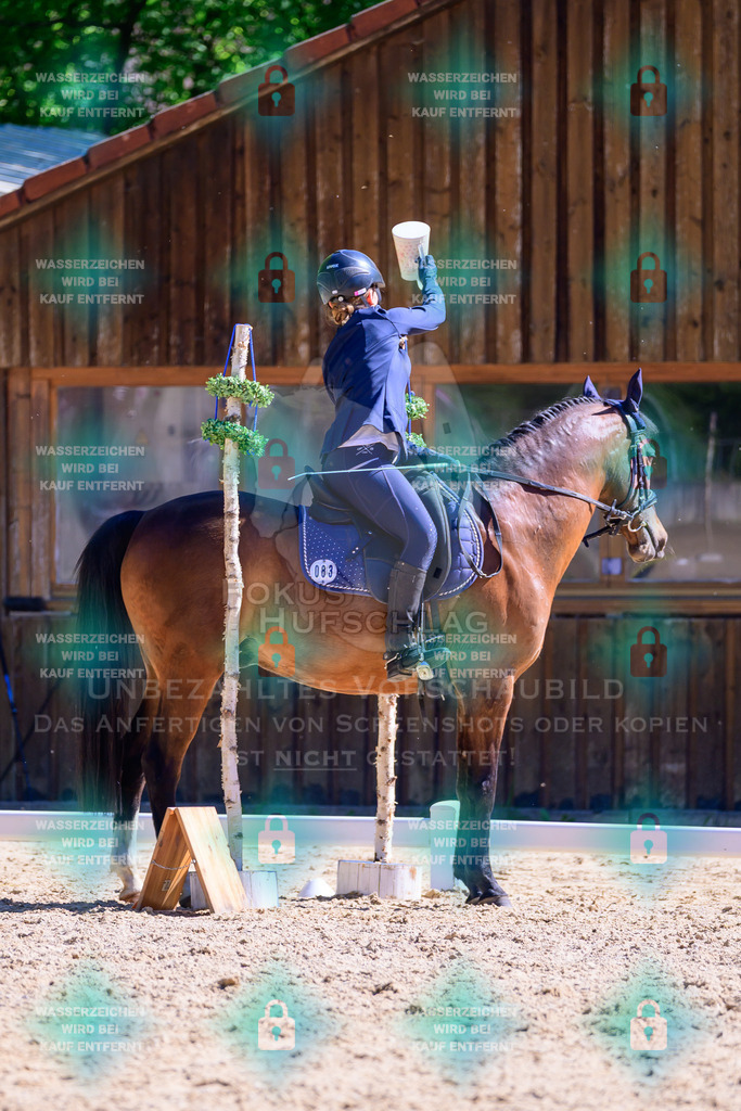01052026-Giesenbach-02-Stiltrail-0627 | Fokus Hufschlag Fotografie - Realisiert mit Pictrs.com