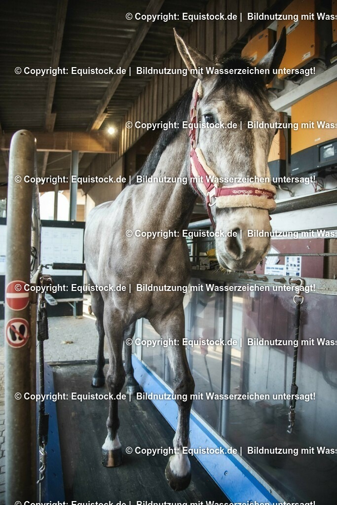 20200118_Laufband_0011 | Foto: Thomas Hartig