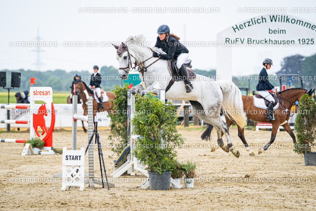 DSC08671 | Pferdegrafie