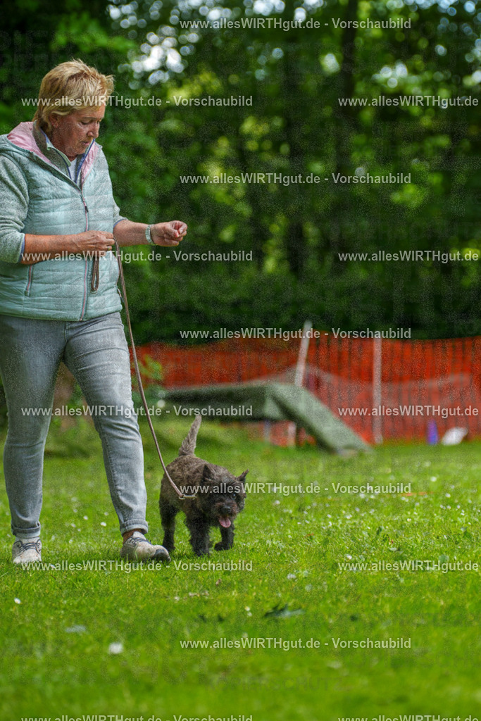 @allesWIRTHgut_Tierfotografie - www.allesWIRTHgut.de - 130049-7R509672 | Professionelle Tierfotografie in Mönchengladbach von Daniel Wirth (allesWIRTHgut). Liebevolle & natürliche Bilder von Hunden & Katzen für unvergessliche Erinnerungen.