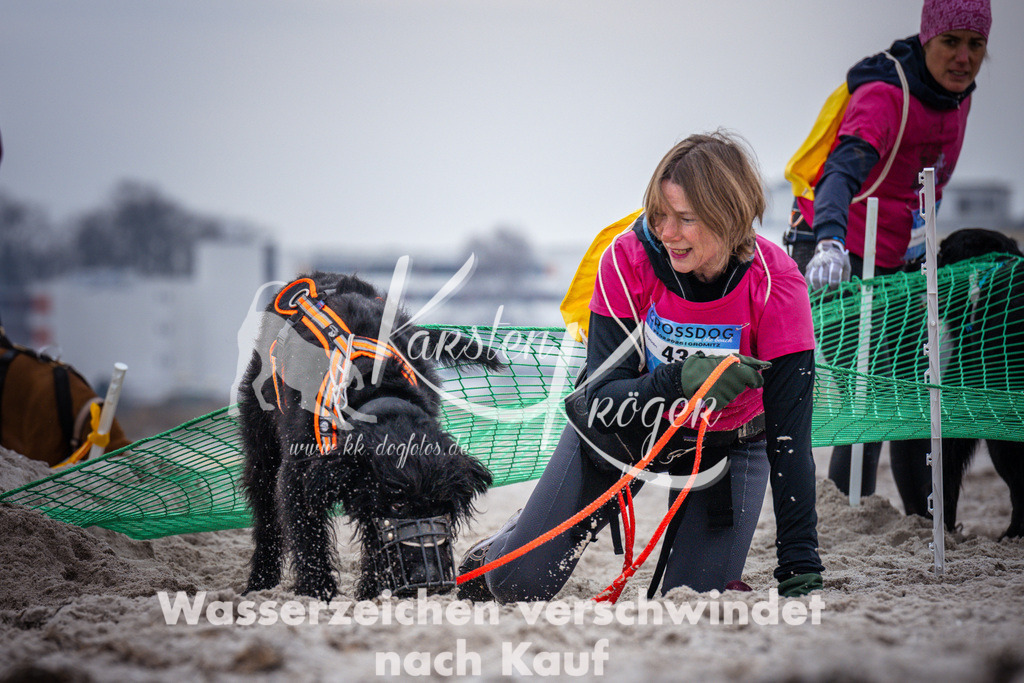 1218_ZZ93321 | kk-dogfotos