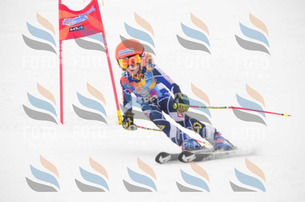 C1650 | holidayphoto