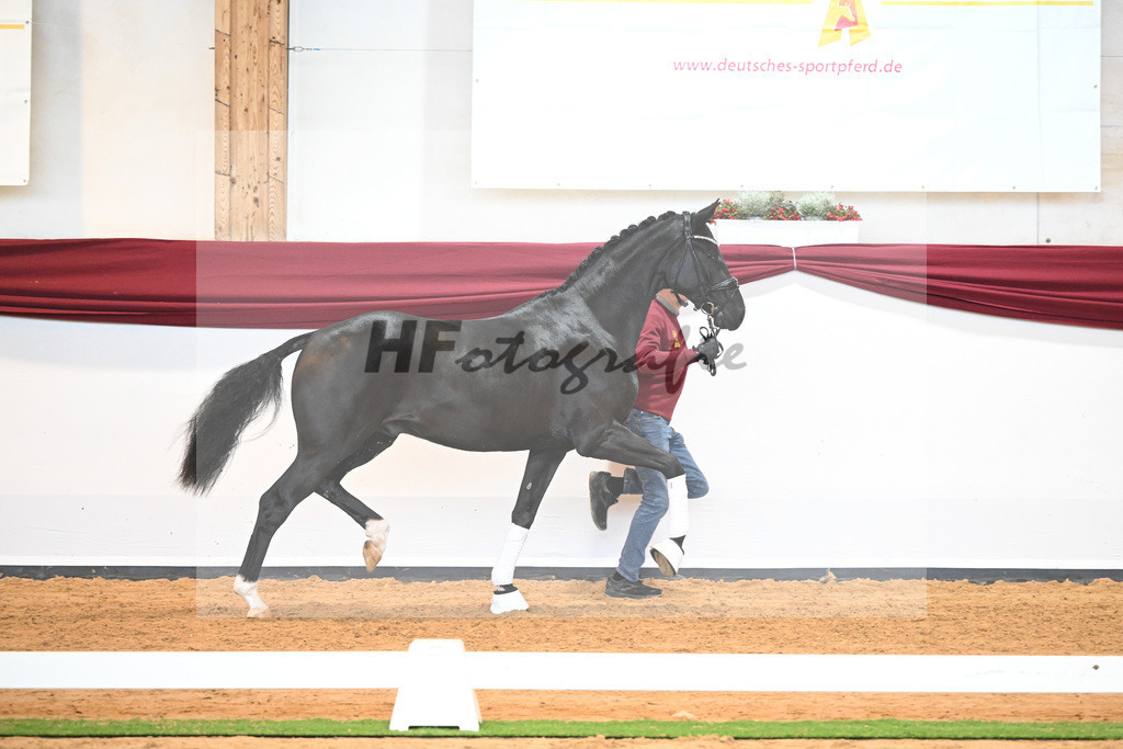 Kat-Nr. 51 v. Toto jr._Winklmaier_66220877 | hf-fotografie - Realisiert mit Pictrs.com