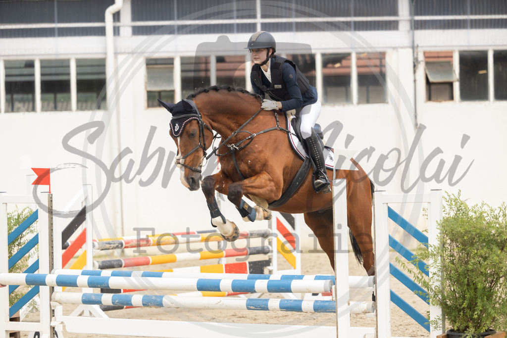 994A9524 | sabrinanicolaifotografie - Realisiert mit Pictrs.com