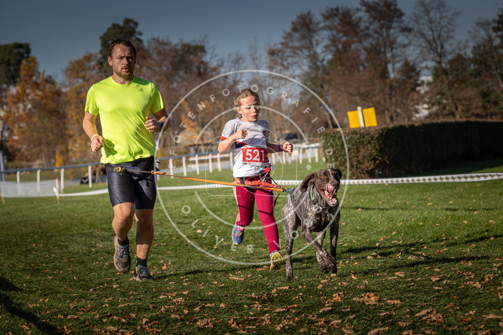 CaniXpix_0L8A7112 | Hundefotografie, Tierfotograf, Pfotenfotografie, Fotoshooting Hund, Hunde Portrait, Hundesport, Hundeportraits, Heideshooting, Hunde, Sportfotograf, Hundefotograf, Turnierhundsport, THS,  - Realisiert mit Pictrs.com