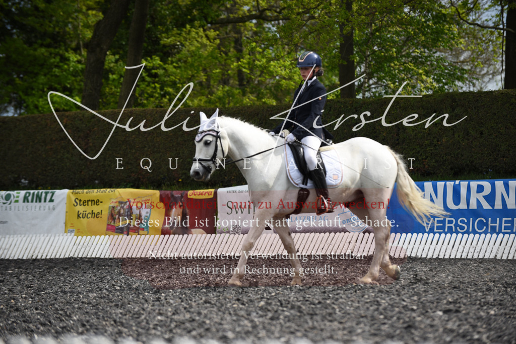20230513_JK-Röhrsdorf-16-343 | Pferde- und Turnierfotografie in Westsachsen. Pferdeportraits, Auftragszeichnungen und intuitive Kunst.