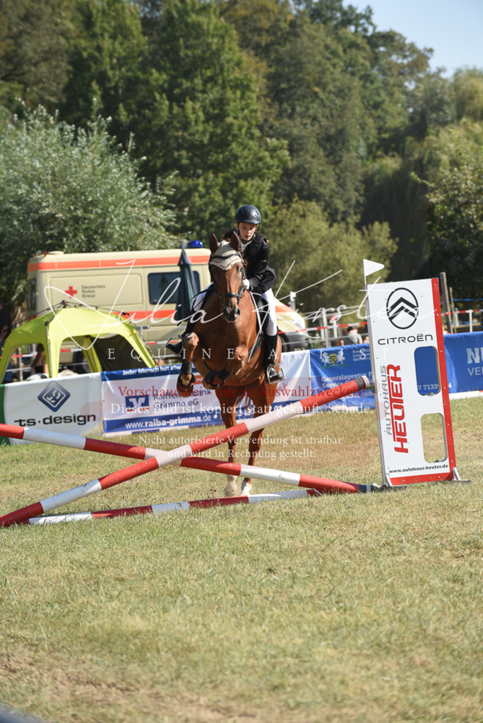 DSC_6044 | Pferde- und Turnierfotografie in Westsachsen. Pferdeportraits, Auftragszeichnungen und intuitive Kunst.