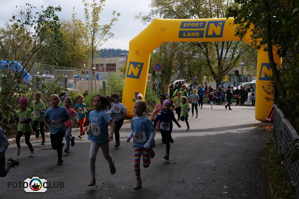 P1017416 | Foto Buchgraber