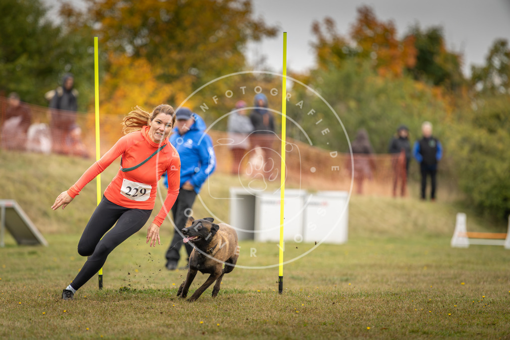 Pfotenfotografie_DV3A4111 | Hundefotografie, Tierfotograf, Pfotenfotografie, Fotoshooting Hund, Hunde Portrait, Hundesport, Hundeportraits, Heideshooting, Hunde, Sportfotograf, Hundefotograf, Turnierhundsport, THS,  - Realisiert mit Pictrs.com