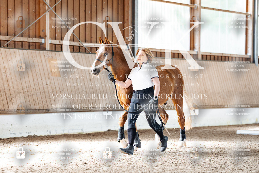 CK905590 | Turnierfotografie Pferdefotografie Trier Rheinland-Pfalz Pferdesport Reitsport Tierfotografie Sportfotografie Pferdevideo Pferdevideografie Equestrianvideography equestrianphotography  - Realisiert mit Pictrs.com