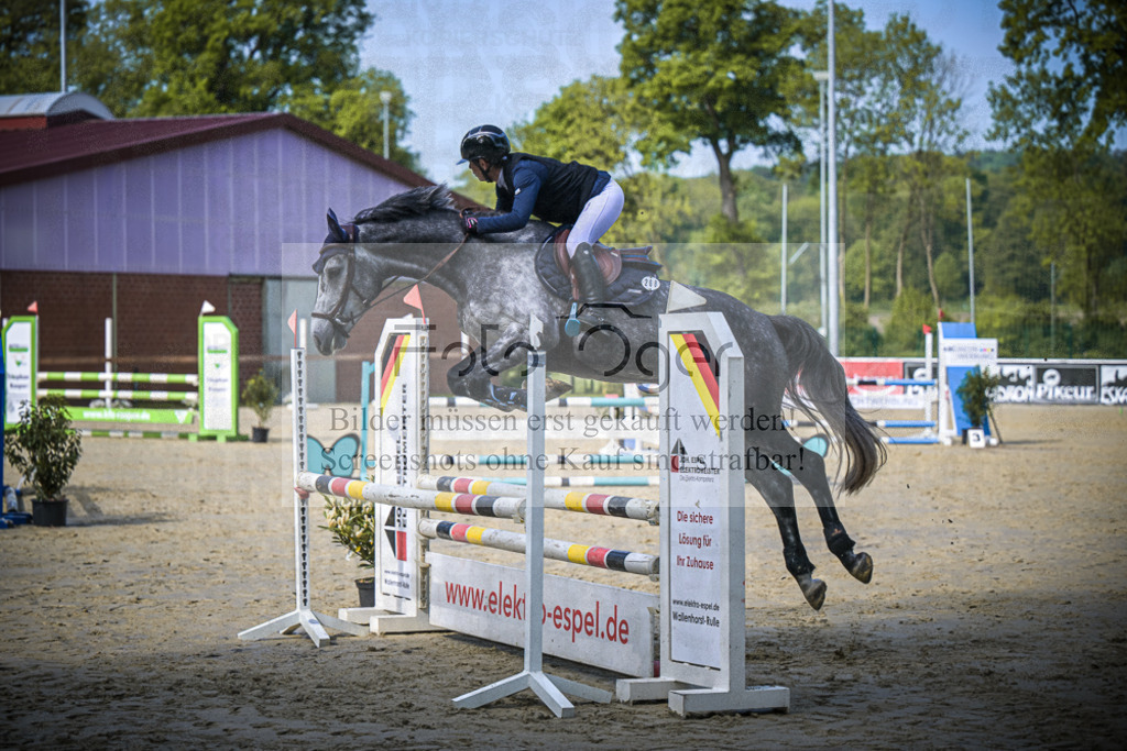 DOS_6053 | Entdecke hochwertige Reitturnierfotos von Foto Oger. Professionell, emotional und authentisch – jetzt Lieblingsmomente im Shop bestellen.Deutschlandweite Turnierfotografie. - Realisiert mit Pictrs.com