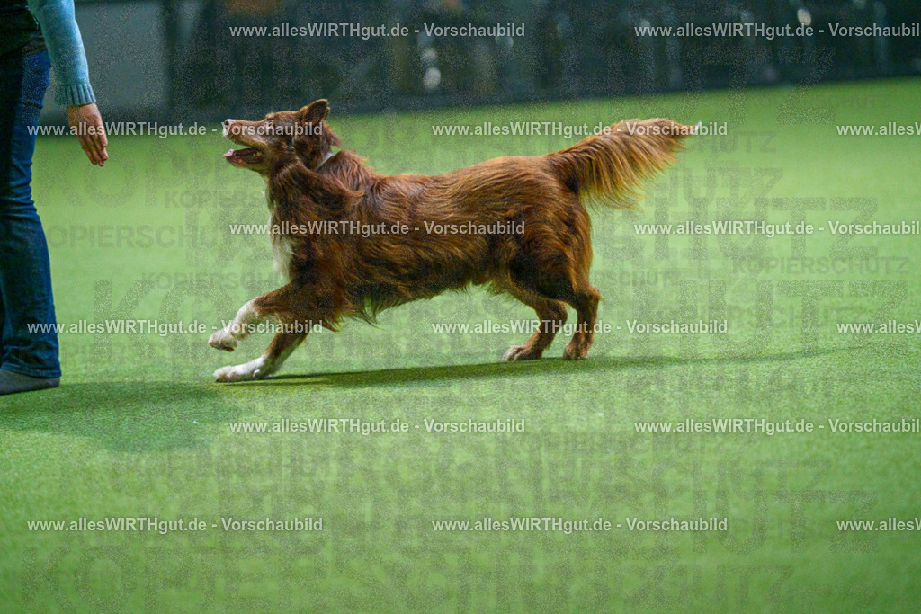 7R500885 | Professionelle Tierfotografie in Mönchengladbach von Daniel Wirth (allesWIRTHgut). Liebevolle & natürliche Bilder von Hunden & Katzen für unvergessliche Erinnerungen.