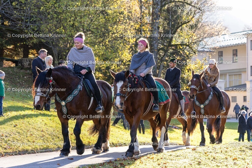 LL24-235 | foto-bettina-krinner - Realisiert mit Pictrs.com