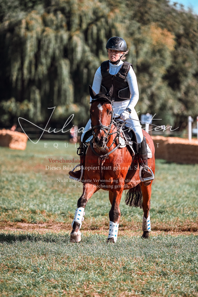 DSC_0629 | Pferde- und Turnierfotografie in Westsachsen. Pferdeportraits, Auftragszeichnungen und intuitive Kunst.