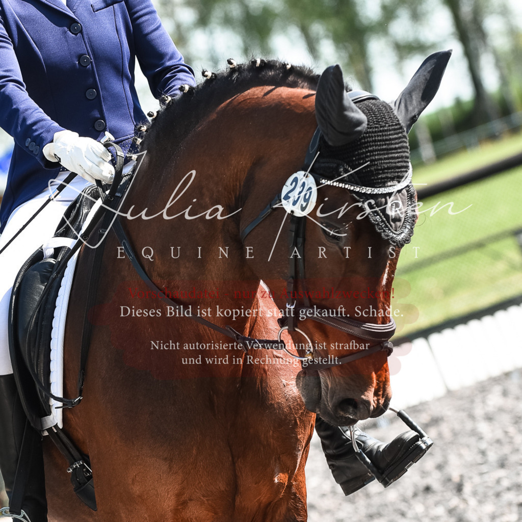 DSC_8778 | Pferde- und Turnierfotografie in Westsachsen. Pferdeportraits, Auftragszeichnungen und intuitive Kunst.