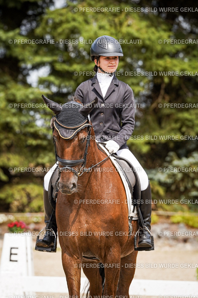 DSC04496 | Pferdegrafie