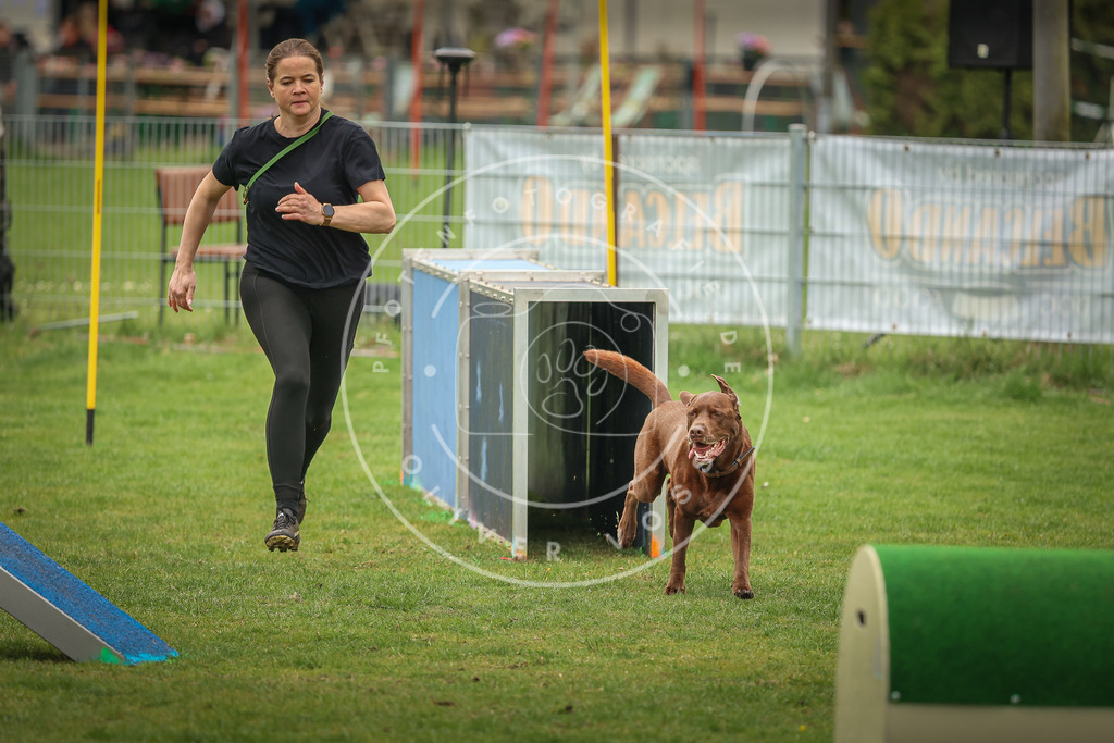 Pfotenfotografie_0L8A1846 | Hundefotografie, Tierfotograf, Pfotenfotografie, Fotoshooting Hund, Hunde Portrait, Hundesport, Hundeportraits, Heideshooting, Hunde, Sportfotograf, Hundefotograf, Turnierhundsport, THS,  - Realisiert mit Pictrs.com