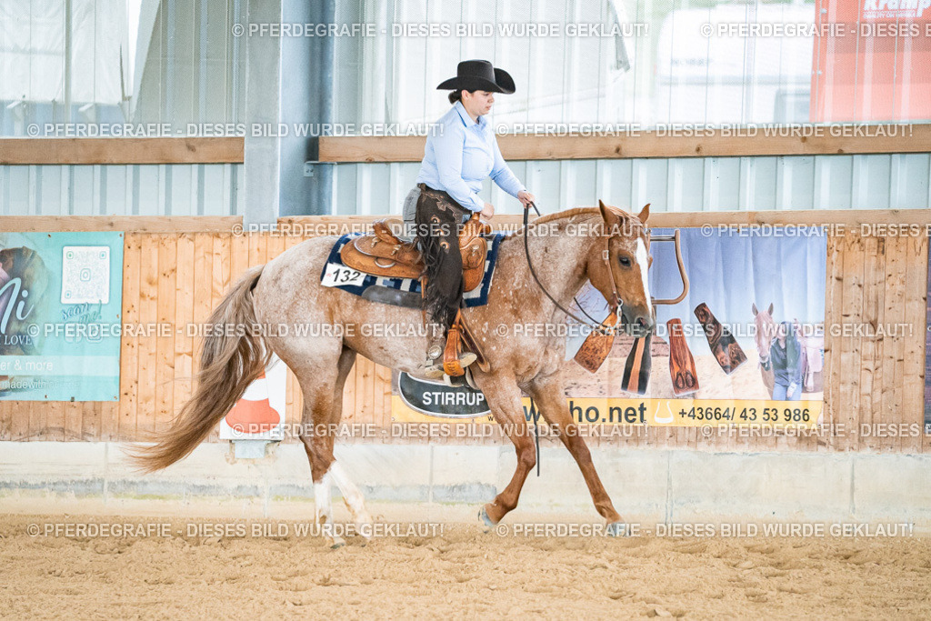 DSC00051 | Pferdegrafie