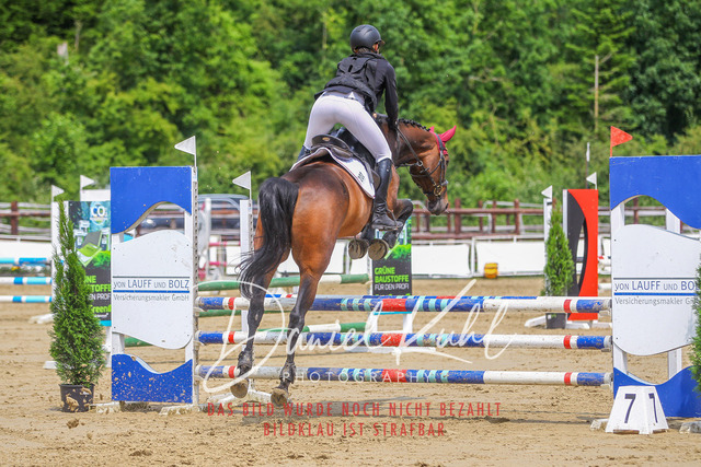 DKP41658 | Turniersportfotografie; Pferdefotografie; Dressurfotografie