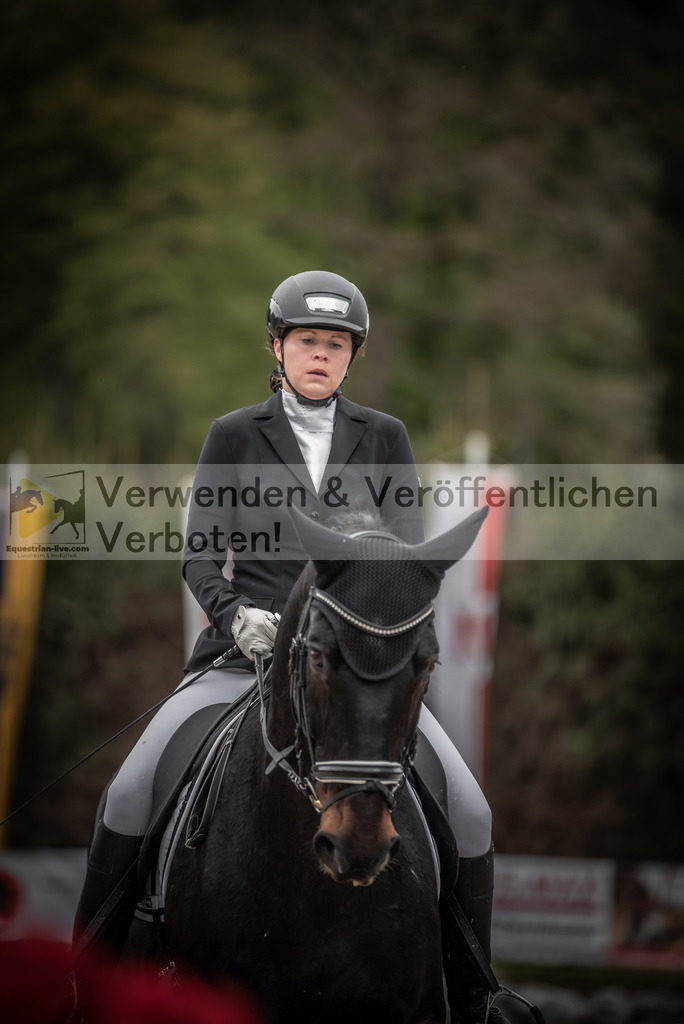 DSC_9331 | equestrian-live-com