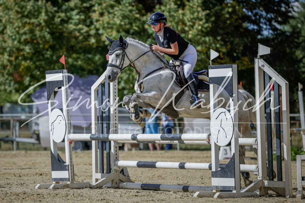 20250906-_3LI6395 | Tierfotografie Pferde, Hunde, Katzen, Haustiere.
Turnierfotografie Reitturniere, Reiten, Springreiten, Dressur in Hanau, dem Main-Kinzig-Kreis und dem Rhein-Main- Gebiet um Frankfurt