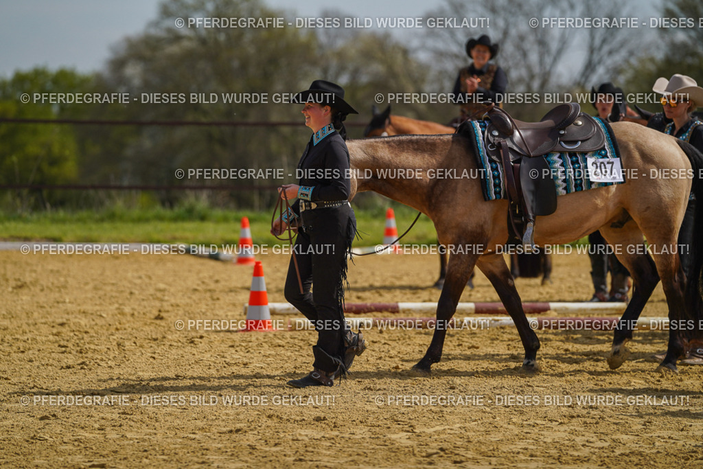 DSC04250 | Pferdegrafie