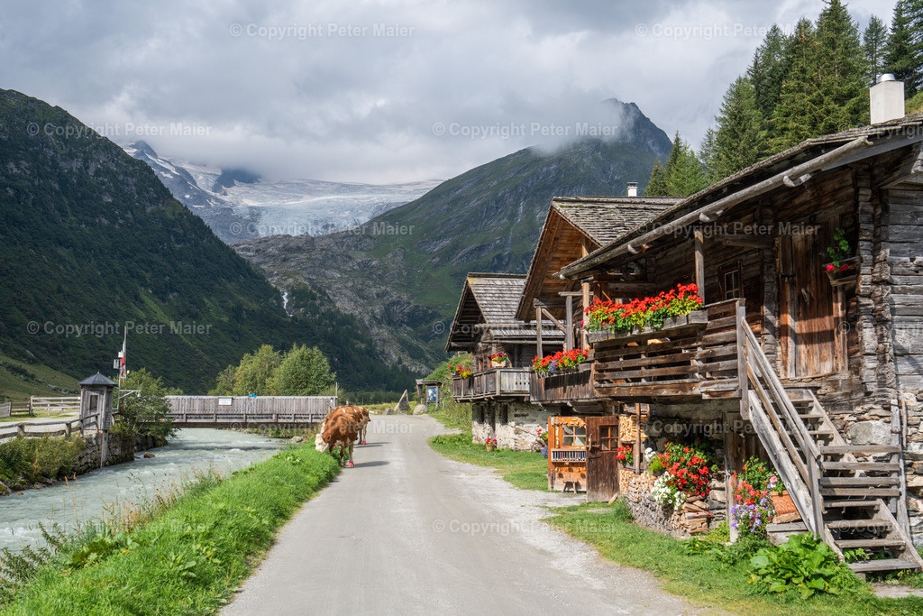Gletscherweg_Innergschlöss_August_24-28 | piet_flosse