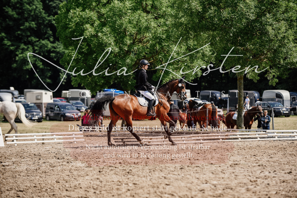 DSC_0487 | Pferde- und Turnierfotografie in Westsachsen. Pferdeportraits, Auftragszeichnungen und intuitive Kunst.