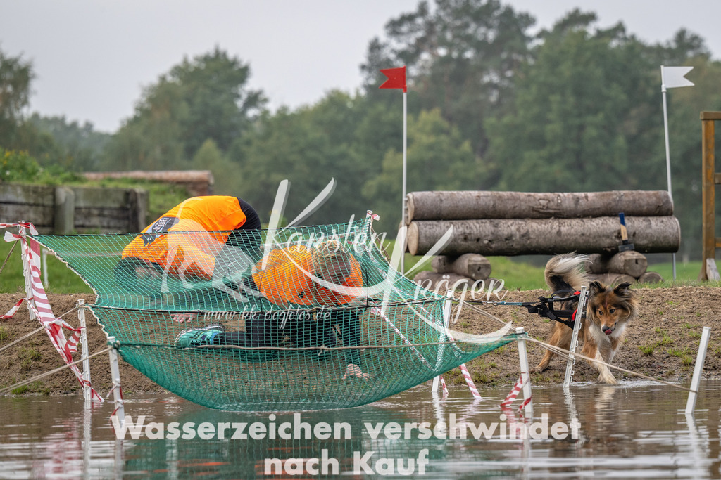 0912_ZZ94140 | kk-dogfotos