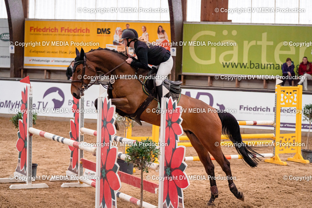 Kranichstein Tag 3-485 | dv-media-shop - Realisiert mit Pictrs.com