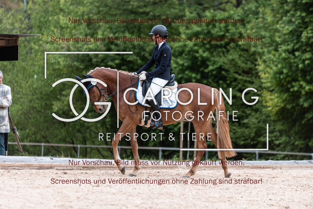 DSC_7091 | Turnierfotografin Carolin Gieschke,Reitsport Turnierfotografie Carolin G Fotografie | Turnierfotos aus Kirchheim/Teck, Esslingen, Stuttgart und dem Bodenseekreis