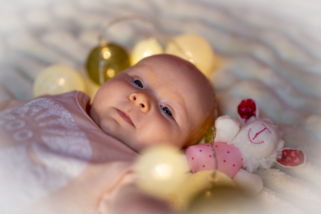 IMG_7044 | ehrlichefotos - Realisiert mit Pictrs.com