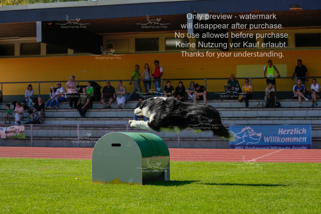 Sonntag_VK Hindernis (266 von 671) | stephaniefillaphotographie - Realisiert mit Pictrs.com