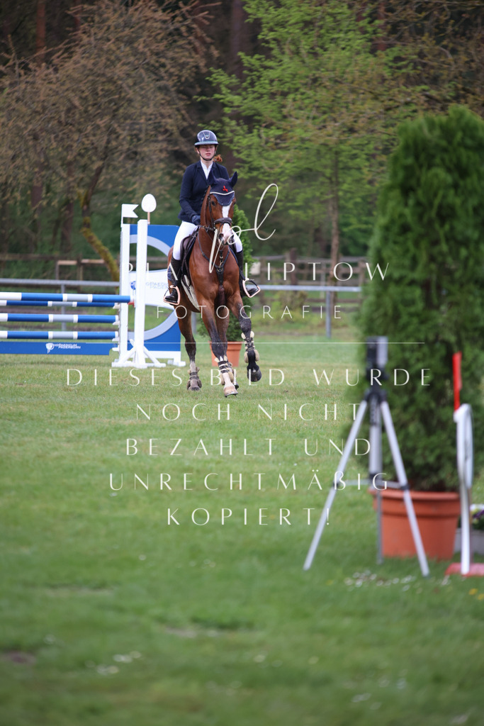 IMGT3186 | pl-fotografie