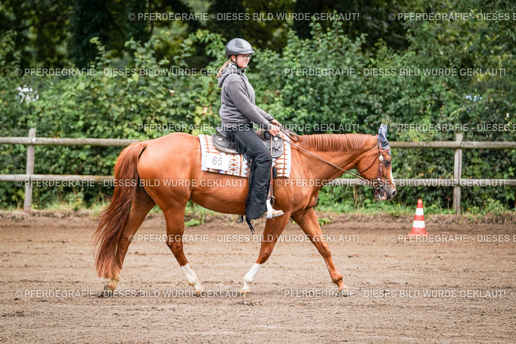 DSC05603 | Pferdegrafie