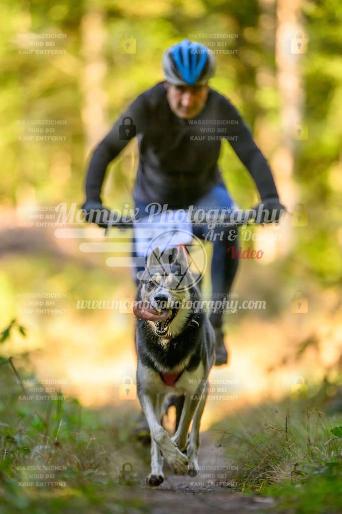 MompixPhotography_Yens2025_B3-118 | PayLife