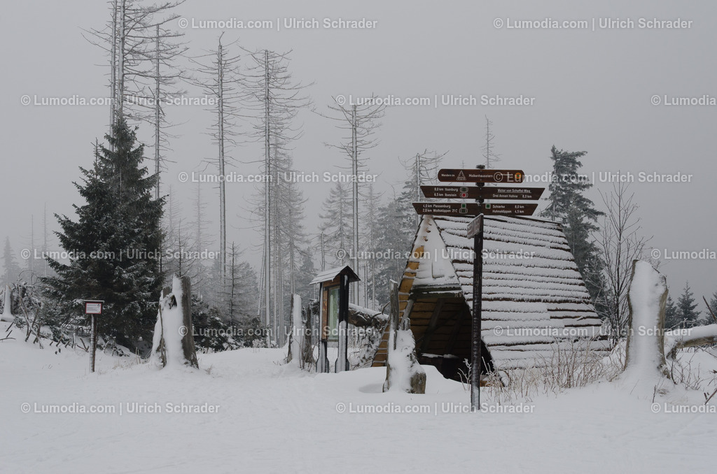 10049-1538 - Winter im Oberharz | max. Bildgröße A3 | 300dpi - Realisiert mit Pictrs.com