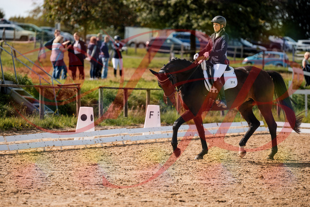 2026_10_03_Siefer-Hof_133642_Z63_97623963 | Professionelle Reitsport-, Turnier- und Eventfotografie von Robert Broda. Galerien mit ausgewählten und bearbeiteten Bildern direkt online ansehen und bestellen.