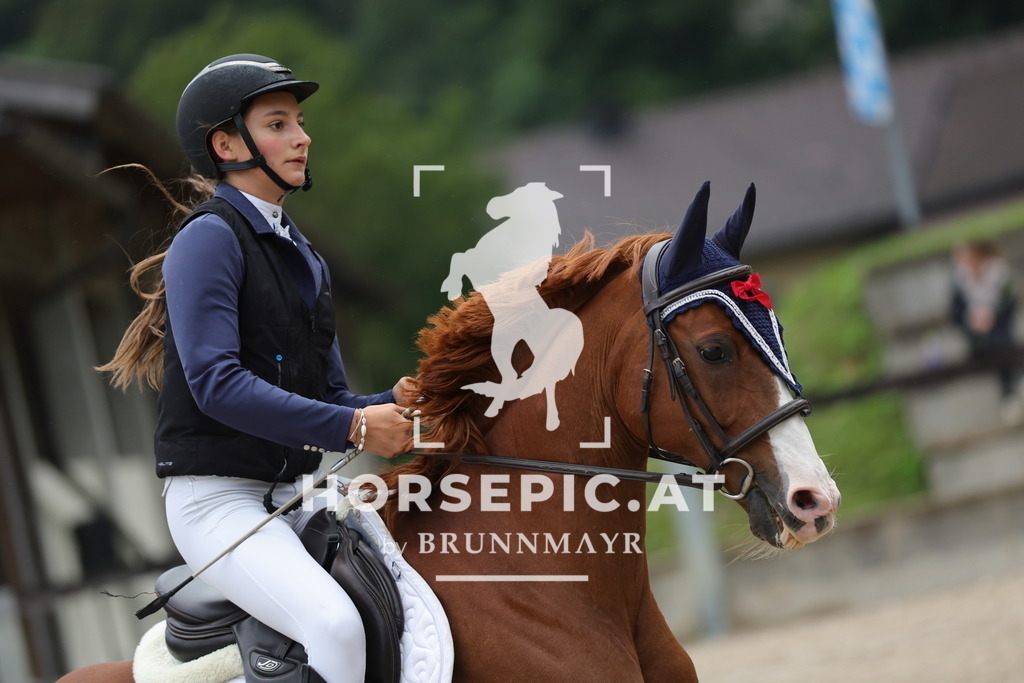 0P6A0136 | Willkommen bei Brunnmayr - Design & Fotografie – Ihrem Spezialisten für Reitturniere und Pferdeveranstaltungen in Oberösterreich, Salzburg und Bayern! Seit über 17 Jahren sind wir leidenschaftlich dabei.