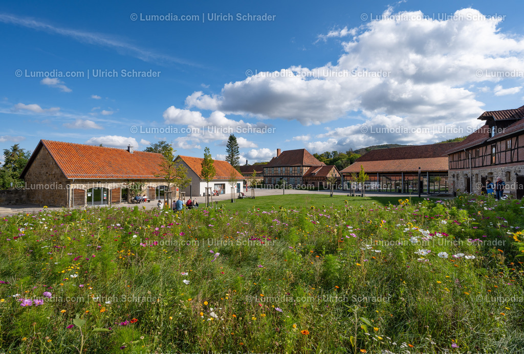 10049-13863 - Kloster Michaelstein bei Blankenburg | Stockfoto und Bilderpool mit Bildmaterial aus Deutschland, dem Harz, Halberstadt, Quedlinburg, Wernigerode und weltweit. Qualitativ hochwertige und professionelle Fotos anschauen und kaufen. - Realisiert mit Pictrs.com
