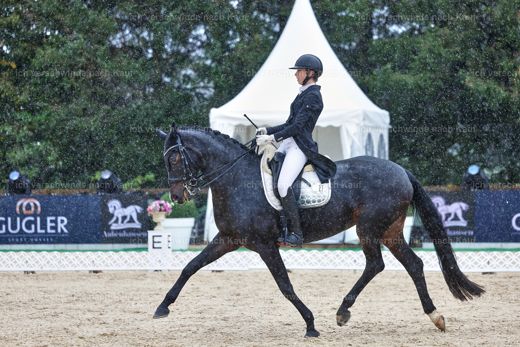 8_1-027-Klasse S_  -StoibPH-4012 | working equitationturnier fotograf videograf stoibphotography marixx film working equitation deutschland reitsport turnierfotografie eventfotografie equestrian events