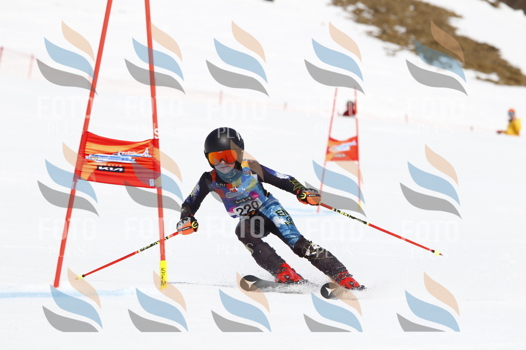 _U3G5674 | holidayphoto