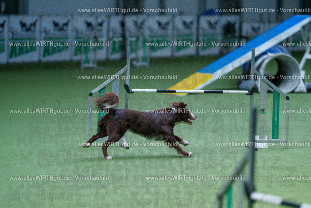 @allesWIRTHgut_Tierfotografie - www.allesWIRTHgut.de - 2604251216-7R501210 | Professionelle Tierfotografie in Mönchengladbach von Daniel Wirth (allesWIRTHgut). Liebevolle & natürliche Bilder von Hunden & Katzen für unvergessliche Erinnerungen.