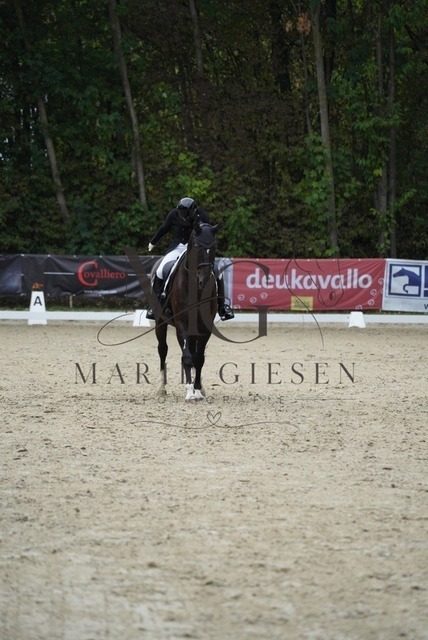 VAN05230 | Marie Giesen Fotografie - Realisiert mit Pictrs.com