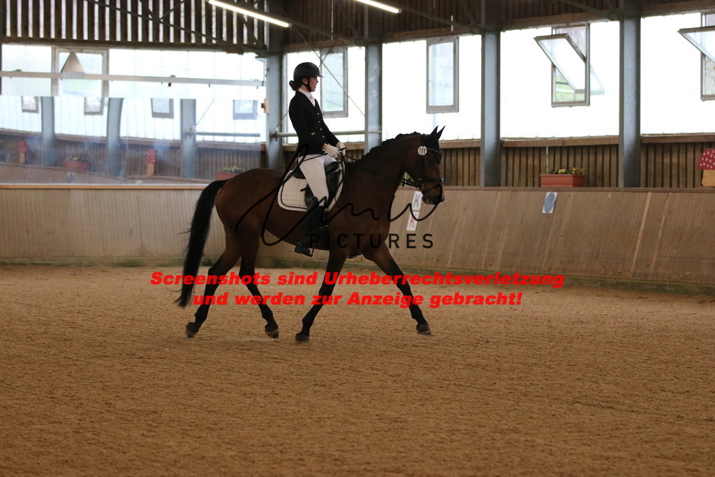 IMG_6236 | lmwpictures - Realisiert mit Pictrs.com