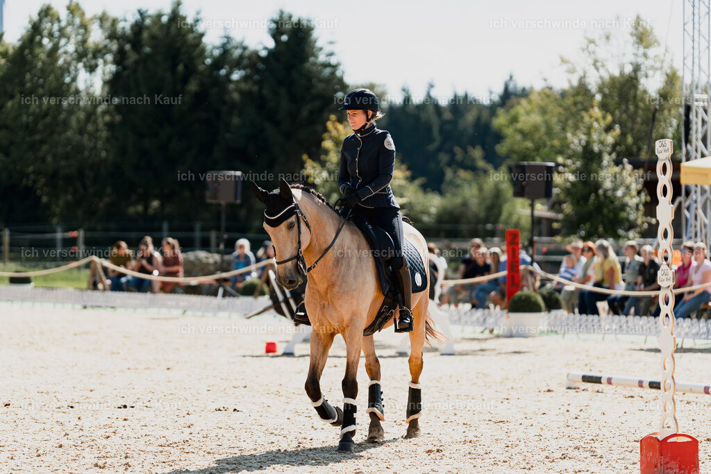 Diana11_FHC2025-09010 | working equitationturnier fotograf videograf stoibphotography marixx film working equitation deutschland reitsport turnierfotografie eventfotografie equestrian events