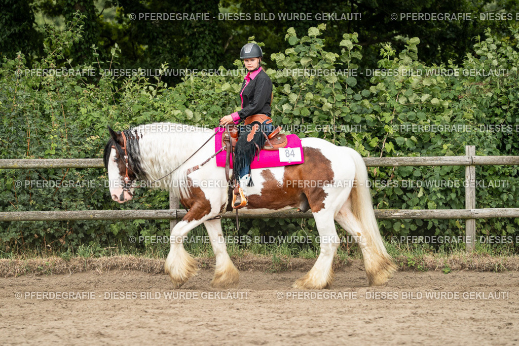 DSC03772 | Pferdegrafie