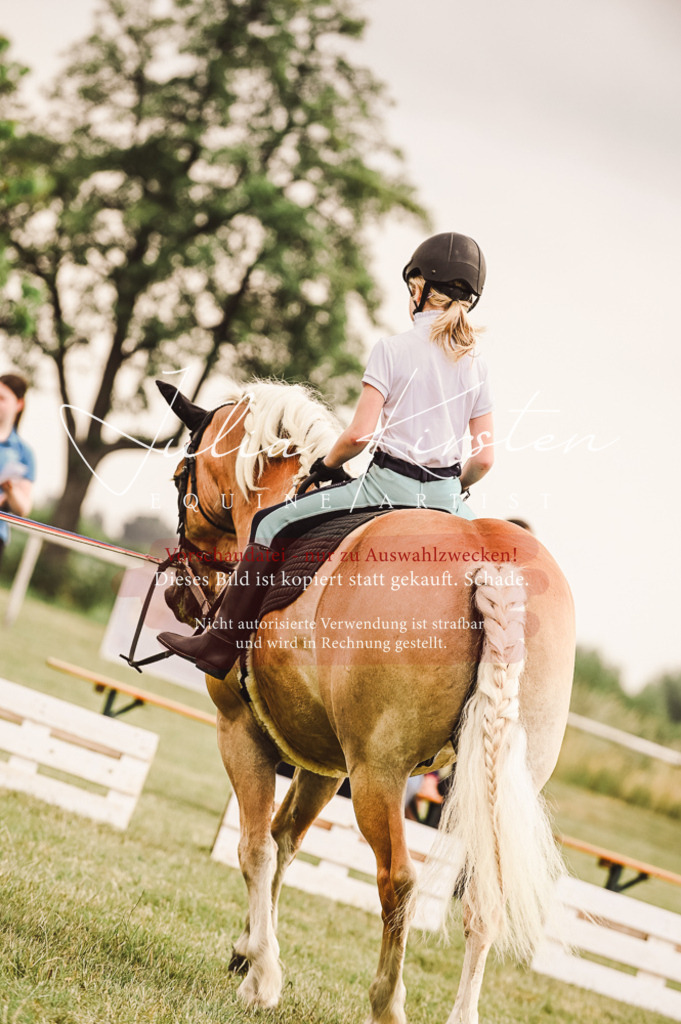 DSC_5241 | Pferde- und Turnierfotografie in Westsachsen. Pferdeportraits, Auftragszeichnungen und intuitive Kunst.
