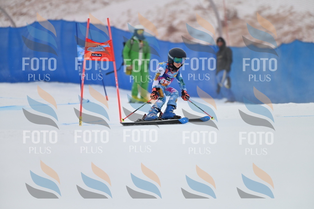 BGV_0665 | holidayphoto