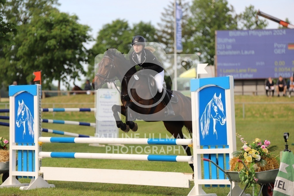 IMG_6853 | Pauline Ullmann Photography - Realisiert mit Pictrs.com